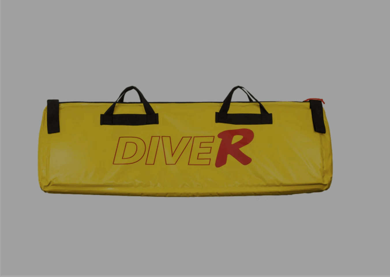 Protective Fin Bag DiveR Fins